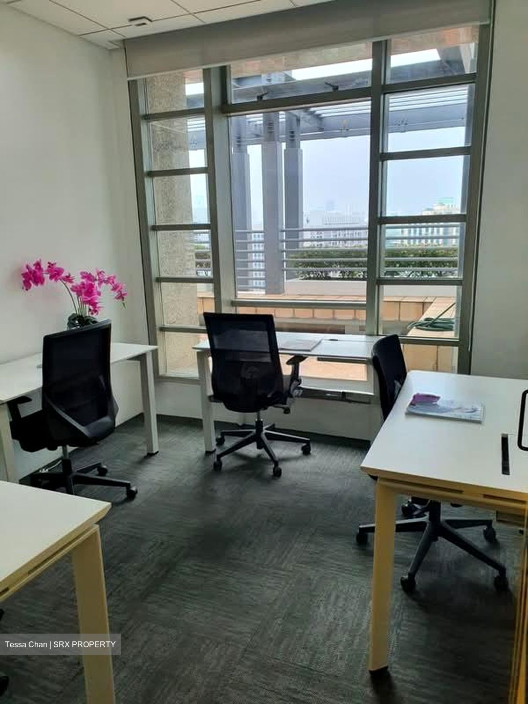 Bugis Junction (D7), Office #536390771